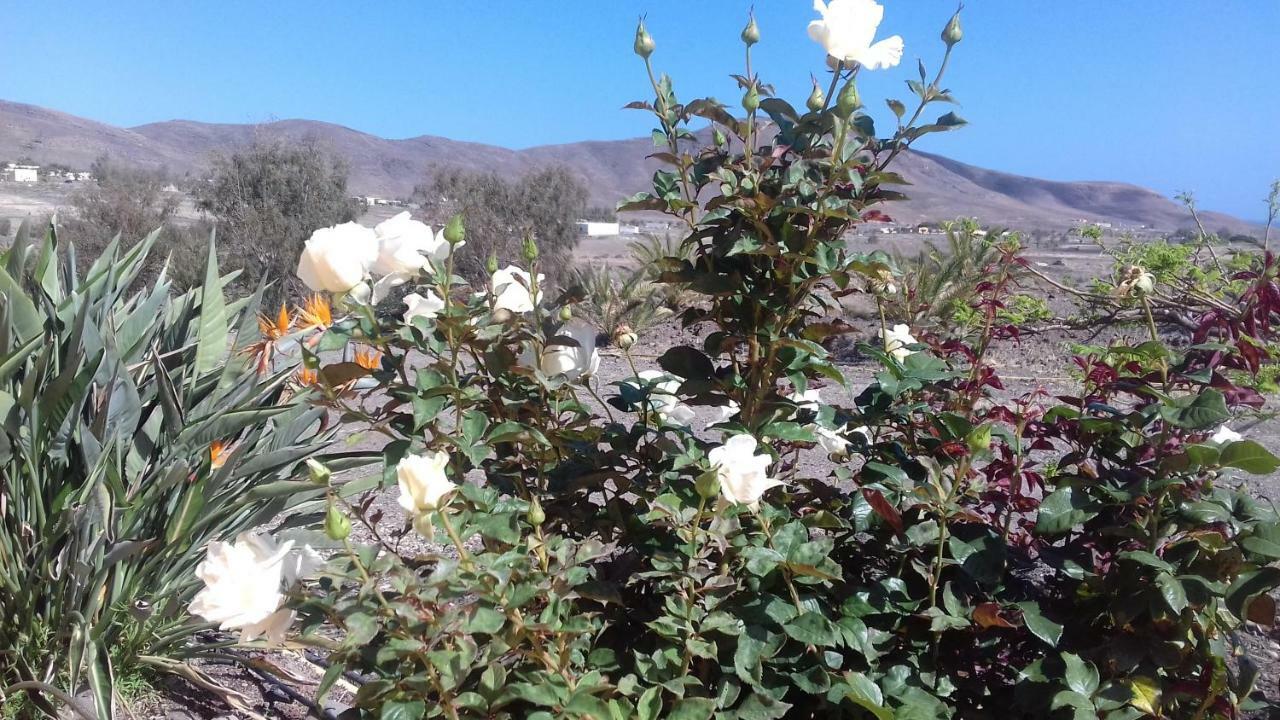 Lajita Finca Los Rosales المظهر الخارجي الصورة