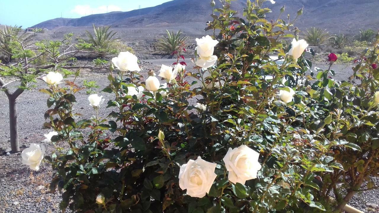 Lajita Finca Los Rosales المظهر الخارجي الصورة