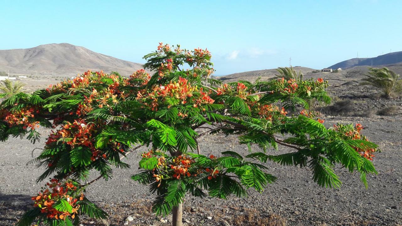 Lajita Finca Los Rosales المظهر الخارجي الصورة